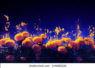 Pétalos flotantes de cempasúchil (caléndula) flores de uso común en el día de los muertos altares en México por la noche