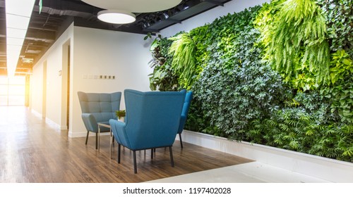 Rustruimte bij de receptie van het moderne kantoor, comfortabele banken en groene planten