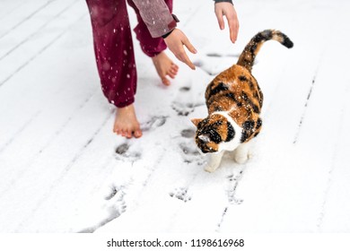 Mujer joven dejando que el gato calico se vaya de los brazos, las manos afuera, al aire libre en la cubierta de la casa, en el parque en la nieve, nevando durante la tormenta de nieve, tormenta con copos de nieve, copos cayendo