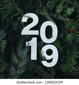 2019 Merry Christmas and happy New Year background with evergreen tree branches creative layout. Nature flat lay concept.