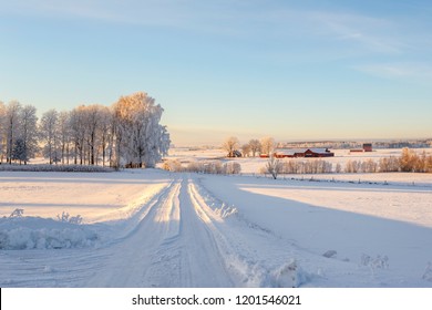 Camino de invierno con nieve en el campo