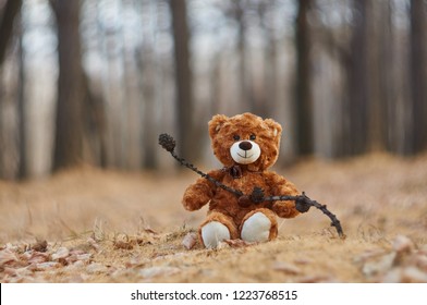 Bär Teddy fand einen Zweig mit Weihnachtskegeln und setzte sich auf eine Lichtung, um darauf zu kauen. Oder vielleicht benutzt er einen Zweig, um sein Haus zu schmücken. Winnie Puuh.