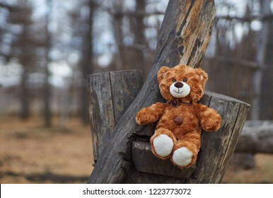 Winnie Pooh kam von einem schönen Baum herunter und setzte sich auf einen Stuhl aus Hanf, um sich auszuruhen. Winnie Pooh im herbstlichen Wald.