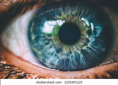Mooie macrofoto van menselijk oog, iris, leerling, wimpers, oogleden.