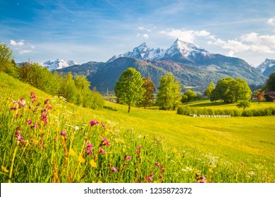 Schöne Aussicht auf die idyllische alpine Berglandschaft mit blühenden Wiesen und schneebedeckten Berggipfeln an einem schönen sonnigen Tag mit blauem Himmel im Frühling