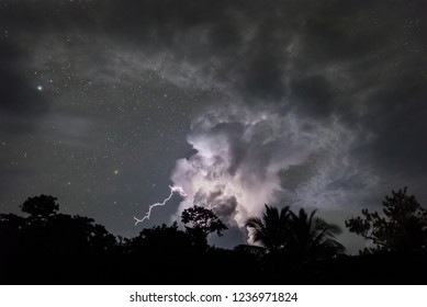 世界で最も電気活動が活発な場所であるカタトゥンボ地域での大規模な雷雨からの稲妻。スリア、ベネズエラ
