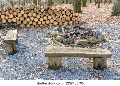hai băng ghế, đống gỗ và lò sưởi cũ trong rừng mùa thu