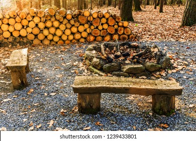 hai chiếc ghế dài, đống gỗ và lò sưởi cũ trong khu rừng mùa thu lúc hoàng hôn