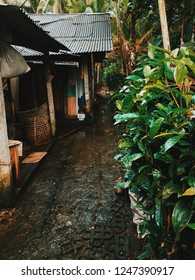 Village bali sanhok pubg look a like indonesia street grass block rain garden