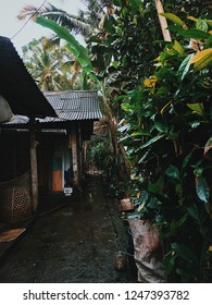 Village bali sanhok pubg look a like indonesia street grasshopper block rain garden wallpaper background
