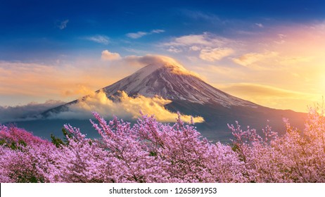 日本の春の富士山と桜。