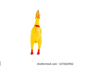Juguete chirriante de pollo chillón. Goma de juguete grito pollo amarillo aislado sobre fondo blanco.