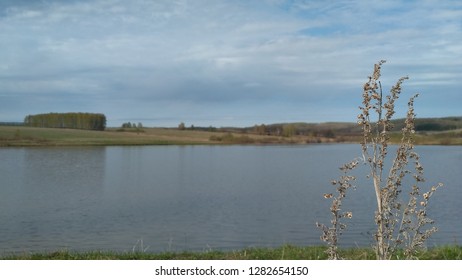 Summer Natur duerch d'Lens