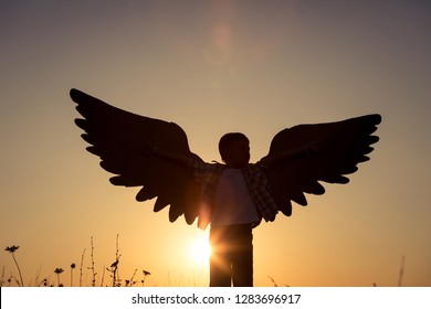 Little boy playing with cardboard toy wings in the park at the sunset time. Concept of happy game. Child having fun outdoors.