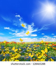 padang rumput dengan berbagai macam bunga di rumput hijau. pemandangan musim semi dengan kupu-kupu dan langit biru yang cerah