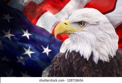 Águila calva con la bandera americana fuera de foco y aspecto grunge.