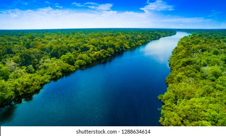 Amazone rivier in Brazilië
