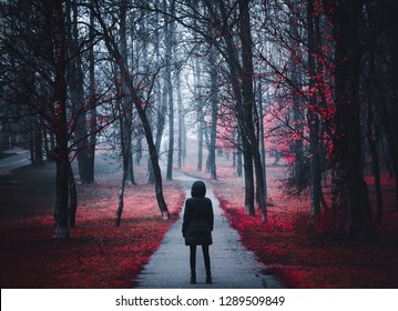 Meisje gaat op pad in het bos. Vreemd bos in een mist met rode bladeren. Achtergrond Mystieke atmosfeer. Donker mysterieus park in een mist. Eng bos met rode bloemen verlicht door de maan