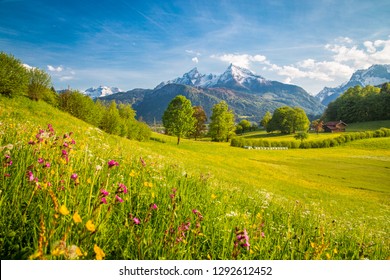 Schöne Ansicht der idyllischen alpinen Berglandschaft mit blühenden Wiesen und schneebedeckten Berggipfeln an einem schönen sonnigen Tag mit blauem Himmel im Frühling