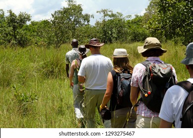 ウガンダのジワ サイ サンクチュアリのサファリで、地元のガイドに続いて 1 列になって歩く観光客のグループ。
