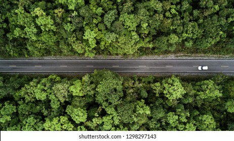 Carretera de vista aérea que atraviesa el bosque, Carretera a través del bosque verde, Camión de vista superior aérea en el bosque, Textura de la vista del bosque desde arriba, Conceptos y antecedentes del ecosistema y del medio ambiente saludable.