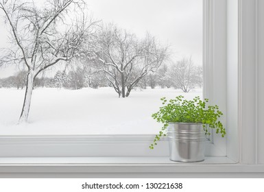 Paisaje invernal visto a través de la ventana y planta verde en un alféizar.