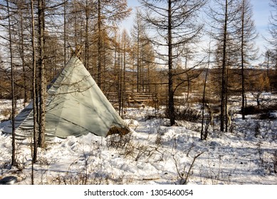 Oude yurt wigwam van Mongools en rendieren in winterbos, zonnige dag