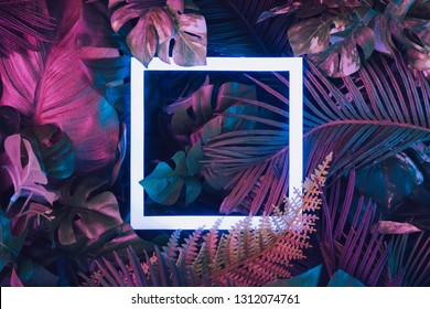 Diseño creativo de colores fluorescentes hecho con hojas tropicales y cuadrados de luz de neón. Plano plano. Concepto de naturaleza