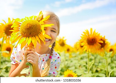 Child playing in sunflower field on sunny summer day. little girl plays with sunflowers.