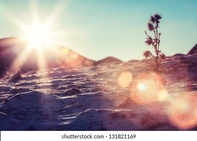 Sonneneruption auf schneebedeckten Hängen