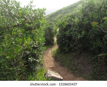 Praia do Rosa에서 Praia Vermelha까지의 트레일.
