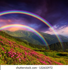 花にかかる虹の山の風景