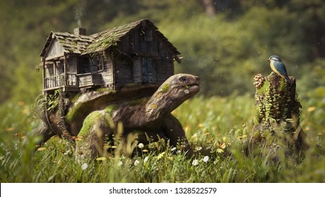 Schildkröte, Haus und Vogel schön