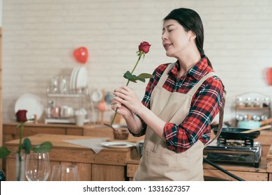 cheerful young woman in apron holding red rose as microphone singing in kitchen while preparing for valentine day dinner at home alone. girl enjoy leisure time having fun indoor in modern dining room
