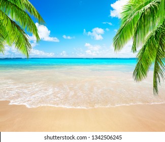 ドミニカ共和国、プンタカナの青い空と美しいビーチを背景にしたココナッツ椰子の木。休暇の休日の背景の壁紙。素敵な熱帯のビーチの眺め。