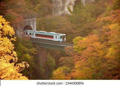 Màu sắc mùa thu rực rỡ (tán lá) tại thung lũng Naruko Gorge với đoàn tàu băng qua cây cầu sắt phủ đầy lá mùa thu ở thung lũng, tỉnh Miyagi, Nhật Bản