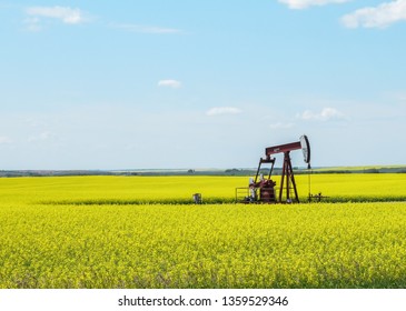 Una foto horizontal de una bomba de aceite en un campo de canola amarillo.