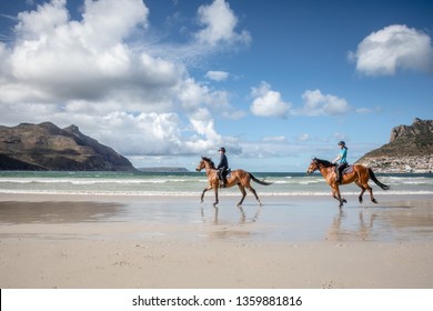 Hai cô gái tuổi teen chăn ngựa nâu dọc theo bờ biển ở bãi biển dưới ánh nắng mặt trời với những ngọn núi tuyệt đẹp trong nền