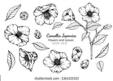 Free Free 156 Camellia Chanel Flower Logo Svg SVG PNG EPS DXF File