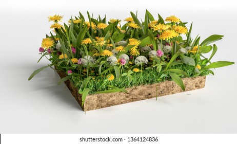 リアルな 3D レンダリングの地形の床の断面図、3D イラストの土壌の地面の断面と大地、花の咲いた緑の草