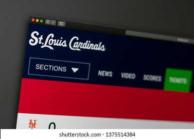 St. Louis Cardinals Fantasy Camp Logo Vector - (.SVG + .PNG