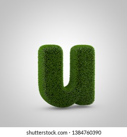 Moss Logo Vector (.EPS) Free Download