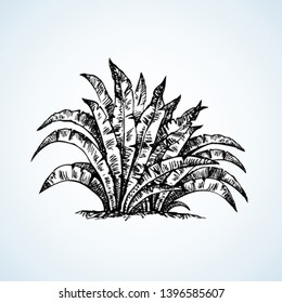 Search: banana tree Logo Vectors Free Download