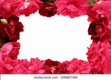 バレンタインデーや愛のための赤いバラの花で作られたフレーム、宗教関連のコンセプト、トップビュー、白い背景にコピースペース