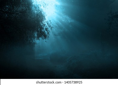 Escena misteriosa en el camino forestal a la luz de la luna. Fondo de Halloween.
