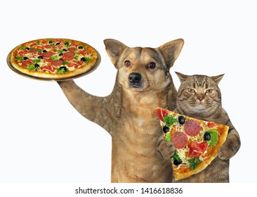 犬と猫が一緒にピザを食べます。白色の背景。分離されました。
