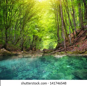 Río profundo en el bosque de montaña. Composición de la naturaleza.