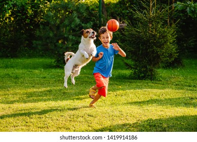 犬とバスケットボールでアウトドアを楽しむ家族