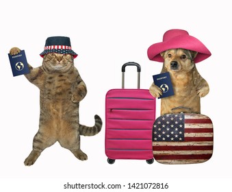 El turista perro y gato con maletas y pasaportes internacionales van a viajar. Fondo blanco. Aislado.