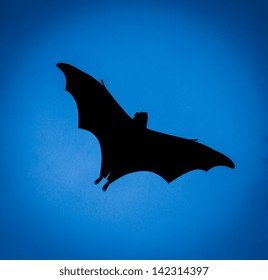 Zorro volador volando